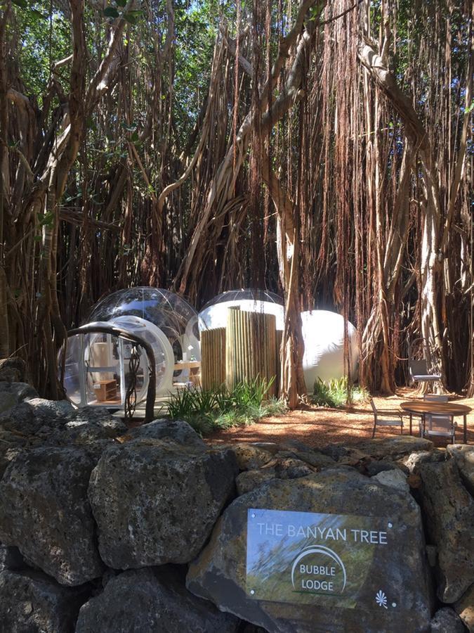 Ile aux Cerfs 버블 로지 일 오 세프 빌라 외부 사진