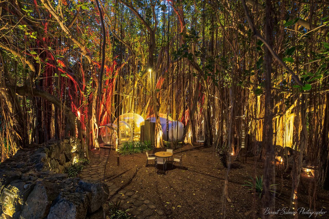 Ile aux Cerfs 버블 로지 일 오 세프 빌라 외부 사진